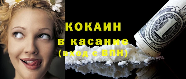 индика Киренск