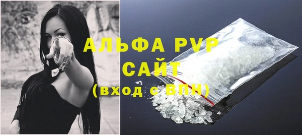индика Киренск