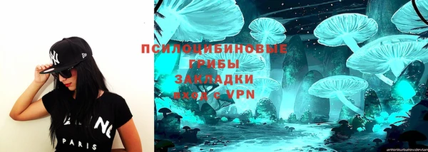 индика Киренск